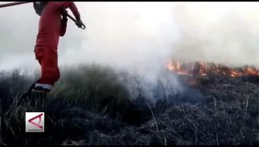 Taman nasional Rawa Aopa Watumohai terbakar