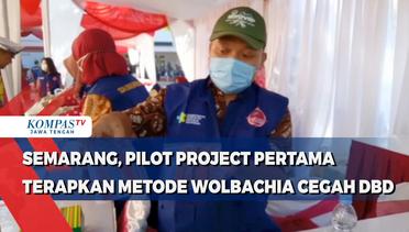 Semarang Pelopori Pencegahan DBD dengan Wolbachia
