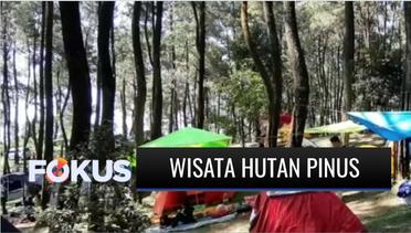 Level PPKM Turun, Wisata Alam Hutan Pinus Purwakarta Dipadati Pengunjung | Fokus