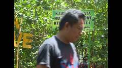 Hutan Mangrove Donggala Jadi Daya Tarik Wisata
