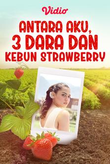 Antara Aku, 3 Dara, dan Kebun Strawberry