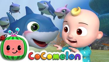 Bayi Hiu (Baby Shark Songs) - CoComelon Bahasa Indonesia