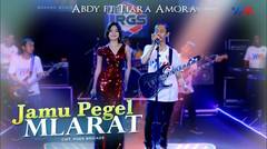 Tiara Amora feat. Abdy - Jamu Pegel Mlarat - New RGS (Official Live Music)