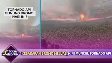 Kebakaran di Bromo Musnahkan Keindahan Bukit Teletubbies? | Status Selebritis