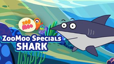 ZooMoo Specials Sharks