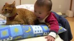 Video Lucu Bayi Bersama Kucingnya