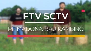 FTV SCTV - Primadona Bau Kambing