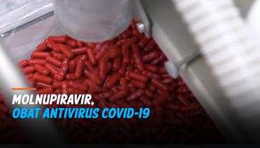 Molnupiravir, Obat Oral Antivirus Turunkan Risiko Keparahan akibat Covid-19