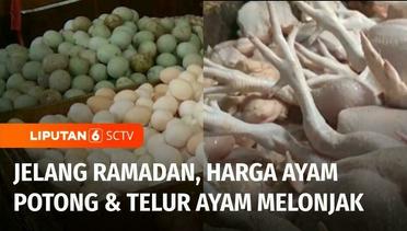 Harga Ayam Potong Naik, Telur Ayam Tembus Rekor Tertinggi Jelang Ramadan | Liputan 6