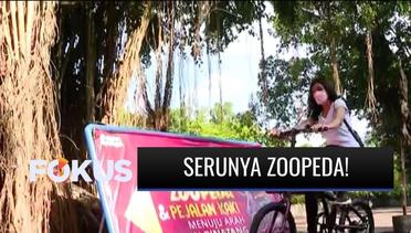 Asyiknya Zoopeda, Bersepeda di Kebun Binatang Gembira Loka Zoo Yogyakarta! | Fokus