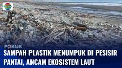 Sampah Plastik Menumpuk di Pesisir Pantai Selayar, Ancam Ekosistem Laut | Fokus