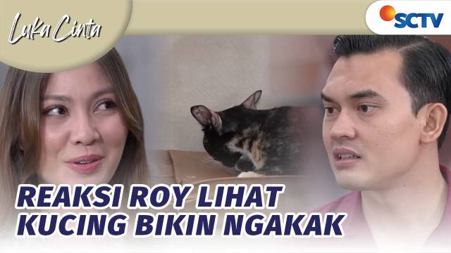 Roy Ngamuk! Irish Bawa Pulang Banyak Kucing ke Rumah Mereka | Luka Cinta Episode 270