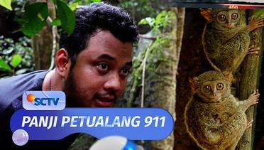 Serunya! Panji Ikut Monitoring Tarsius di Taman Nasional Bantimurung | Panji Petualang 911