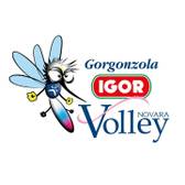 Igor Gorgonzola Novara