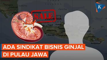 Sindikat Bisnis Ginjal Antarnegara Masih Ada di Pulau Jawa