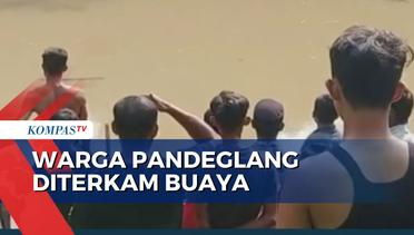 Geger! 2 Warga Pandeglang Banten Diterkam Buaya, 1 Orang Tewas