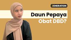 Daun Pepaya Obat DBD?
