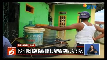 Korban Banjir di Pekanbaru, Riau, Mulai Kekurangan Air Bersih - Liputan 6 Siang