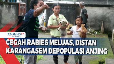 Cegah Rabies Meluas, Distan Karangasem Depopulasi Anjing