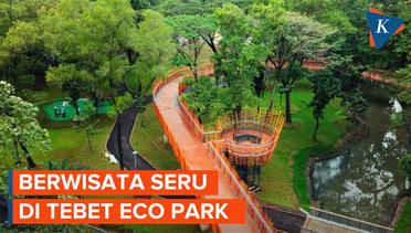 Rekreasi di Tebet Eco Park, Ada Playground hingga Spot Foto Estetik