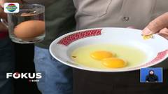 Penyebar Video 'Telur Palsu' di Media Sosial Minta Maaf - Fokus Sore