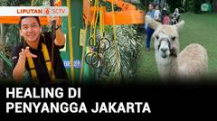Healing di Penyangga Jakarta | Liputan 6
