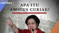Apa Itu Amicus Curiae? Ini Sejarah, Landasan, dan Praktiknya di Indonesia | INFOGRAFIS