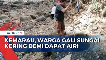 Musim Kemarau Panjang, Warga Yogyakarta Harus Gali Sungai Kering Demi Dapatkan Air!