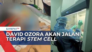 David Ozora Akan Terapi Stem Cell untuk Bantu Pemulihan