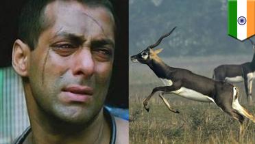 Salman Khan bersiap dipenjara karena berburu binatang langka - TomoNews