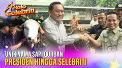 Nama Nama Unik Sapi Qurban Presiden Prabowo, dan Sapi Qurban Selebriti | Halo Selebriti