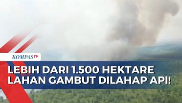 Tak Tanggung-Tanggung, 1.500 Hektare Hutan dan Lahan Gambut di Kubu Raya Kalbar Dilahap Api!