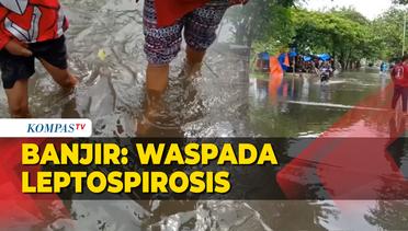 Banjir Semarang Waspada Leptospirosis