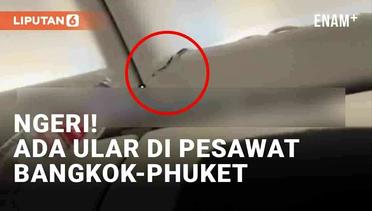 Ngeri! Ular di Pesawat Rute Bangkok-Phuket Bikin Cemas Penumpang