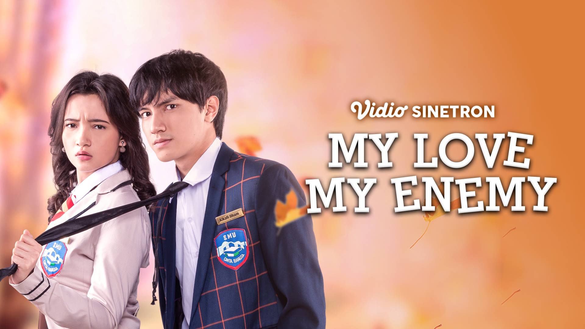 My Love My Enemy