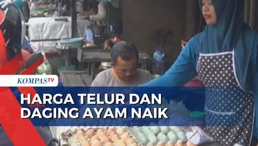 Jelang Bulan Suci Ramadan, Harga Telur dan Daging Ayam di Blitar Naik