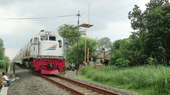 Kereta Api Indonesia Lokomotif CC 201 77 17 Rangkaian RAPIH DHOHO Melintas Desa Ngujang Tulungagung