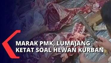 Idul Adha di Tengah Wabah PMK, Pemkab Lumajang: Hati-Hati! Masak Daging Kurban Sampai Matang