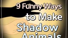 [Life Hacks] How to Make Shadow Animals with Your Hands