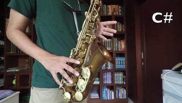 Belajar Saxophone Itu Mudah! (D Major Scale | Eb Alto & Bb Tenor)