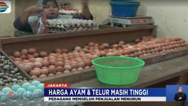 Kemendag Beri Waktu Sepekan Kepada Distributor Ayam dan Telur Untuk Turunkan Harga - Fokus Indosiar