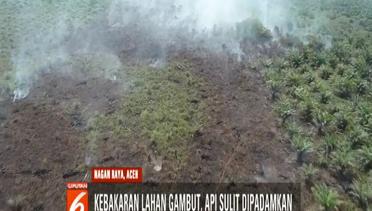 Kebakaran Lahan Gambut di Aceh Meluas, Petugas Kewalahan Padamkan Api - Liputan 6 Pagi