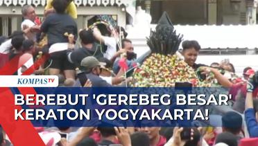 Warga Berebut Makanan dari Gunungan 'Gerebeg Besar' Keraton Yogyakarta!
