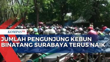Liburan ke Kebun Binatang Surabaya jadi Destinasi Pilihan Favorit Warga