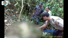 Kasus Utama: Kejam! Mahasiswi Tewas Diperkosa dan Dibunuh di Kebun Karet Wilayah Palembang - Patroli