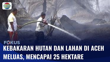 Sepekan Lebih Karhutla di Nagan Raya Aceh Belum Padam, Lahan Terbakar Meluas hingga 25 Hektar | Fokus