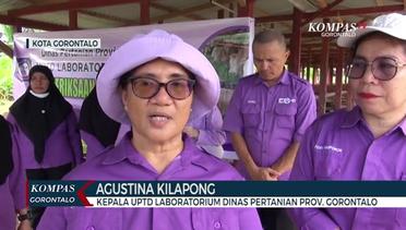 Dinas Pertanian Lakukan Pemeriksaan Kesehatan dan Kelayakan Hewan Kurban di Gorontalo