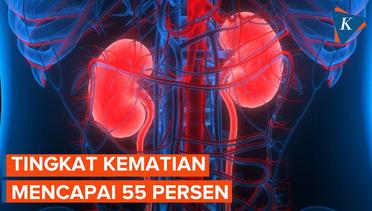 Tingkat Kematian Pasien Gagal Ginjal Akut di Indonesia Mencapai 55 Persen