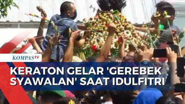 Sambut Idulfitri, Keraton Yogyakarta Gelar 'Gerebek Syawalan'! Warga Berebut Hasil Bumi