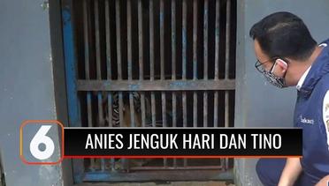Gubernur Anies Baswedan Jenguk 2 Harimau Sumatera yang Terpapar Covid-19 | Liputan 6